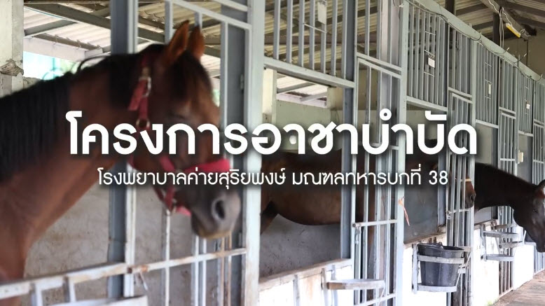 โครงการอาชาบำบัด โรงพยาบาลค่ายสุริยพงษ์ มณฑลทหารบกที่ 38